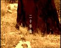 PDVD_104