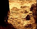 PDVD_105