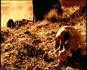 PDVD_107