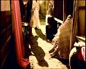 PDVD_115