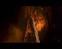 PDVD_1124