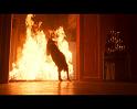 PDVD_1517