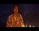PDVD_988