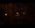 PDVD_1010