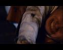 PDVD_1073