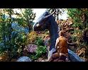 PDVD_1163