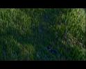 PDVD_1194