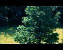 PDVD_1200