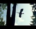 PDVD_1227