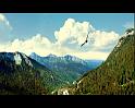 PDVD_1231