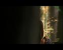 PDVD_1232