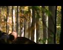 PDVD_1233