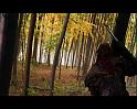 PDVD_1234