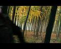 PDVD_1236