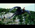 PDVD_1248