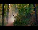 PDVD_1251