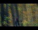 PDVD_1252