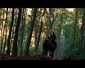 PDVD_1253