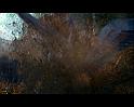 PDVD_1257