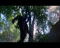 PDVD_1261