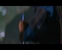 PDVD_1265