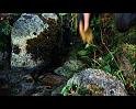 PDVD_1288