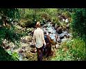 PDVD_1290