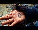PDVD_1299