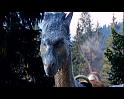 PDVD_1329