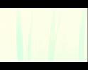 PDVD_1374