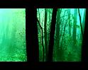 PDVD_1376