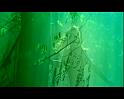 PDVD_1377