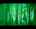 PDVD_1388