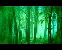 PDVD_1389