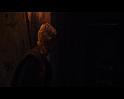 PDVD_1462