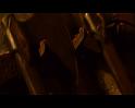 PDVD_1489