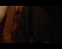 PDVD_1516