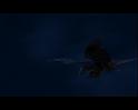PDVD_1566