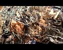 PDVD_1653
