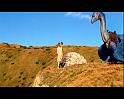 PDVD_1661