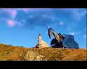 PDVD_1662