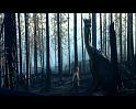 PDVD_1670
