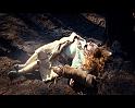 PDVD_1684