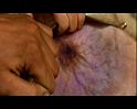 PDVD_1691