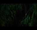 PDVD_1696