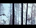 PDVD_1705