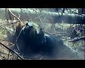 PDVD_1706