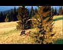 PDVD_1744