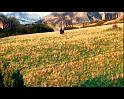 PDVD_1745