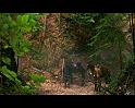 PDVD_1750